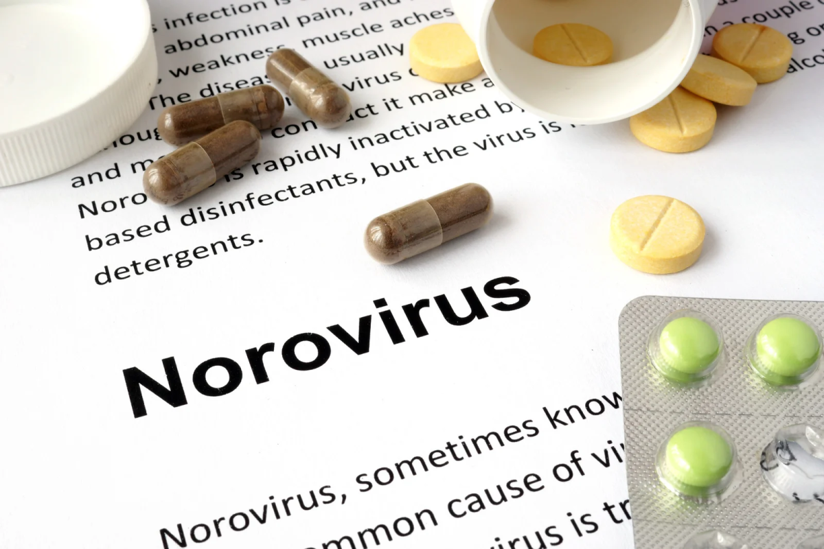 Norovirus